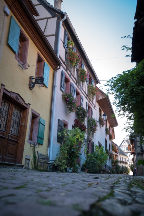 Eguisheim - 140